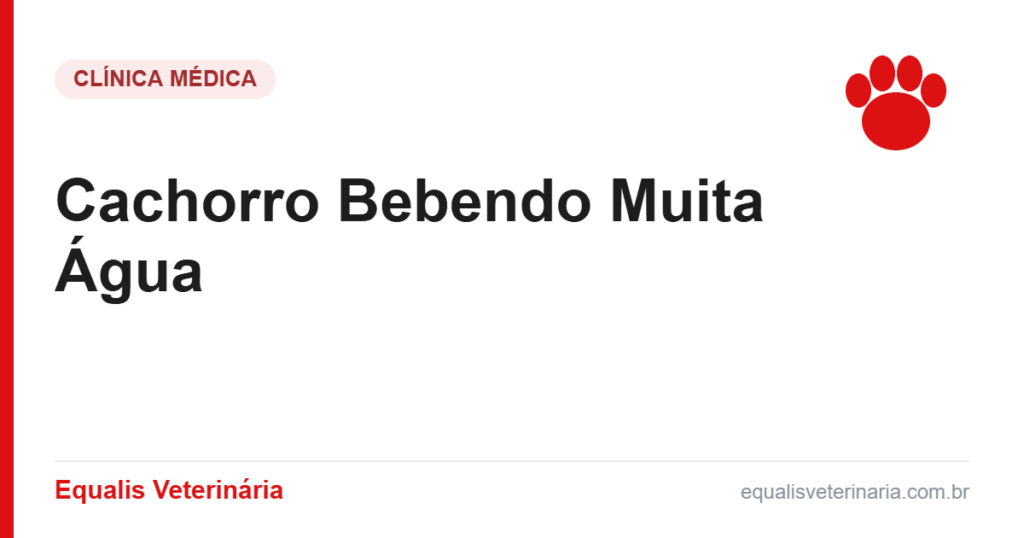 Cachorro Bebendo Muita Água — Equalis Veterinária